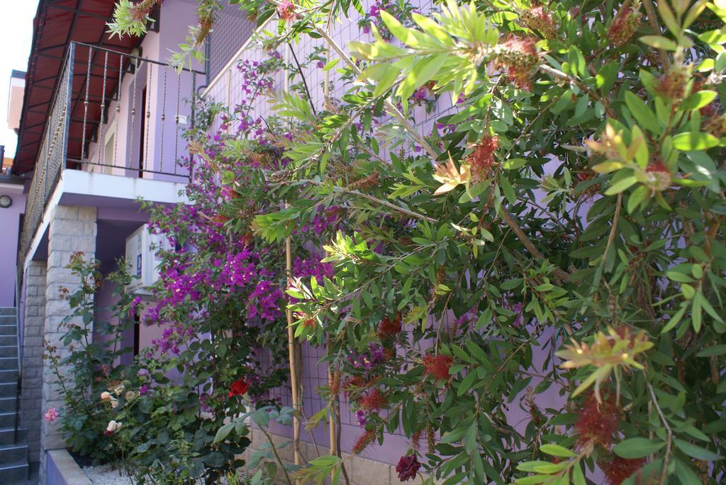 Aparthotel Viola Pjescana Uvala Habitación foto